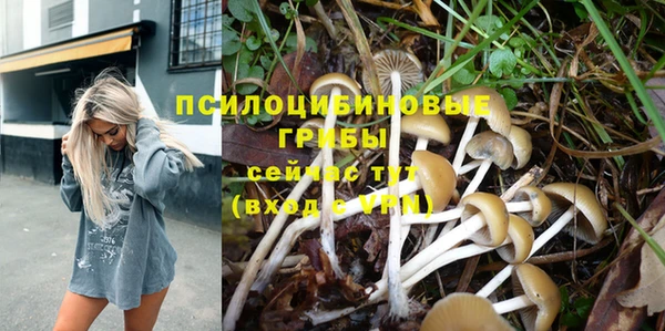 Альфа ПВП Дмитров