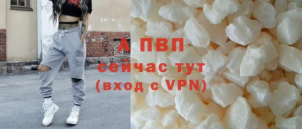 гашик Гусиноозёрск